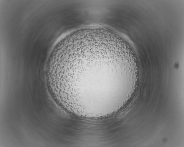 X0000116881412201002021138