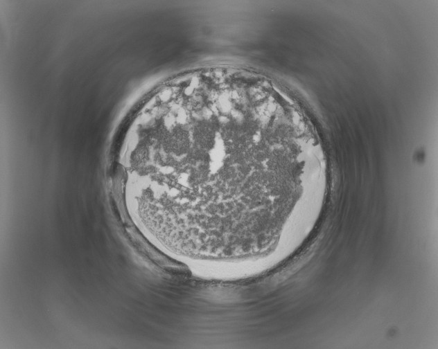 X0000116881414201002021138