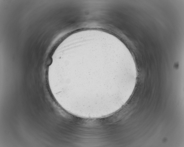 X0000116881416201002021138
