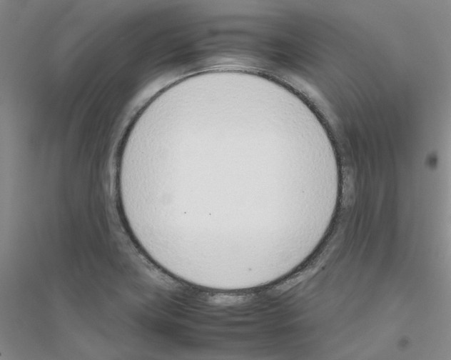 X0000116881419201002021139