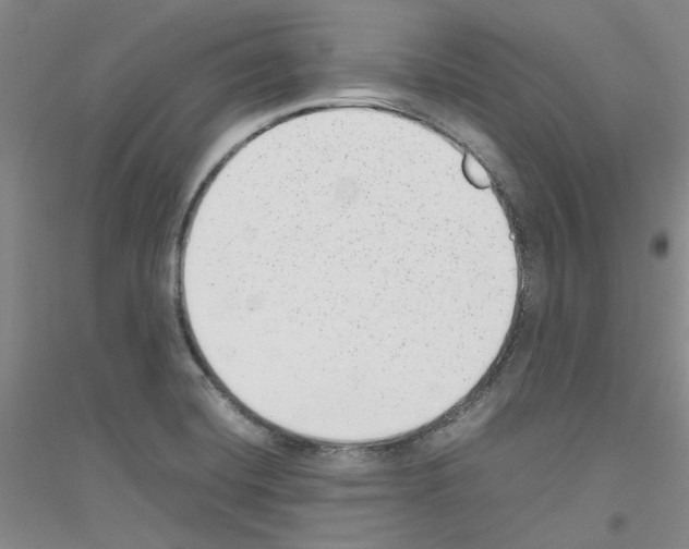 X0000116881420201002021139
