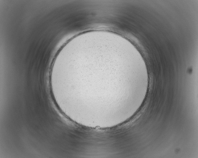 X0000116881424201002021139