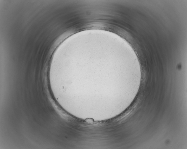X0000116881426201002021139