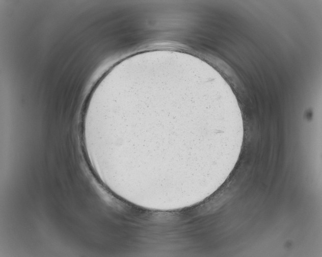 X0000116881430201002021139