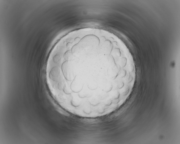 X0000116881432201002021139