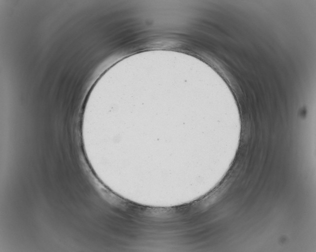 X0000116881434201002021139