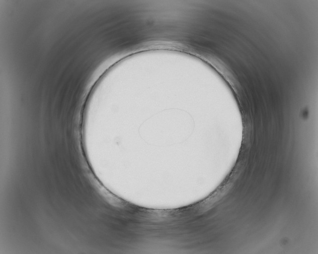 X0000116881438201002021139