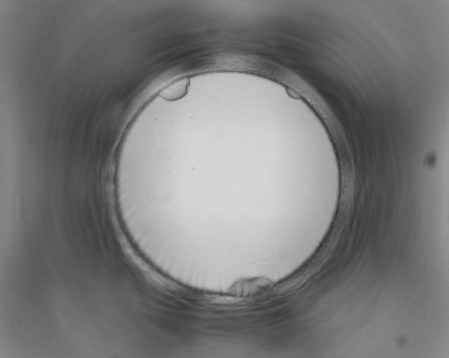 X0000116881439201002021139