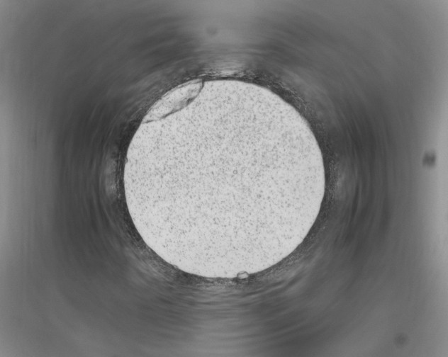 X0000116881442201002021138