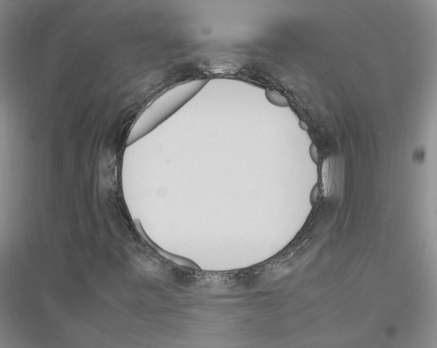 X0000116881443201002021138