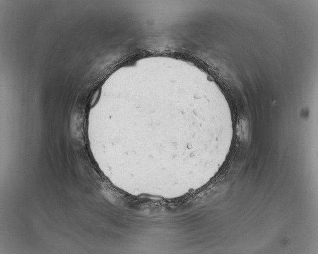 X0000116881444201002021138