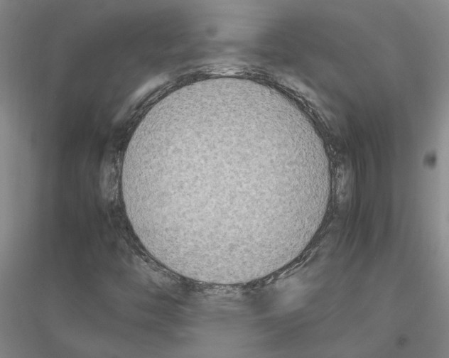 X0000116881446201002021138