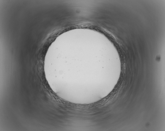 X0000116881447201002021138
