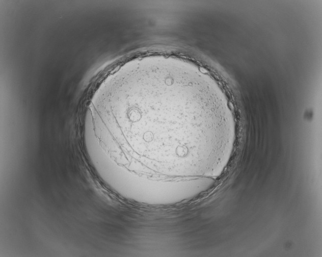 X0000116881448201002021138