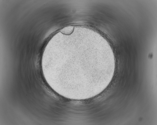 X0000116881450201002021138