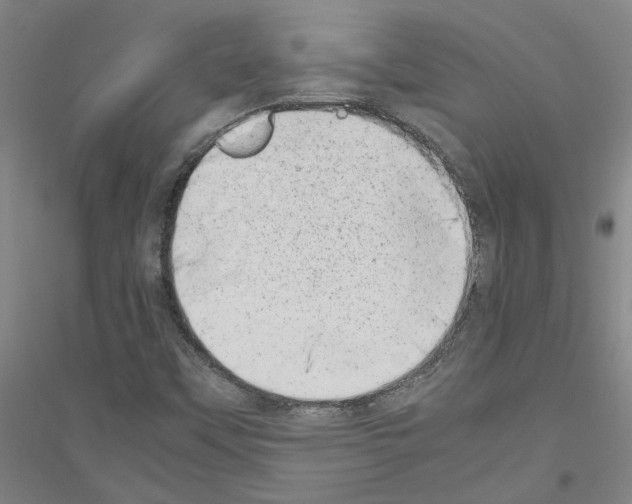 X0000116881451201002021138