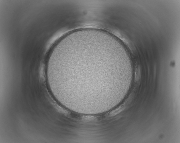 X0000116881454201002021138