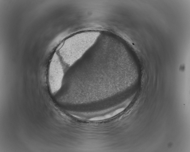 X0000116881455201002021138