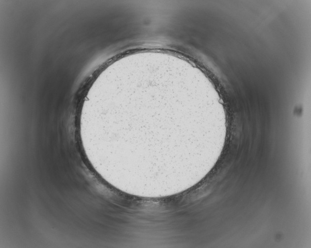 X0000116881456201002021138