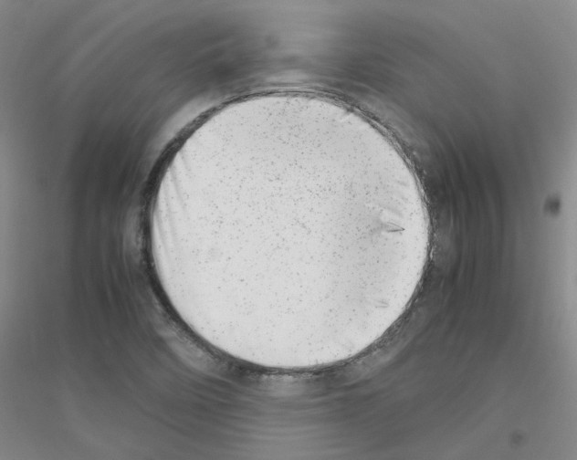 X0000116881458201002021138