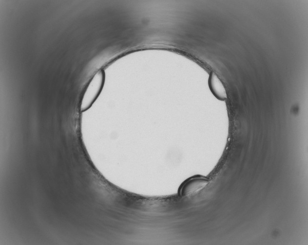 X0000116881461201002021138
