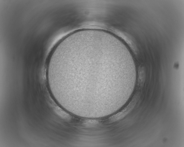 X0000116881462201002021138