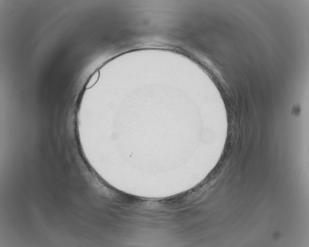 X0000116881463201002021138