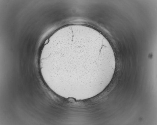 X0000116881464201002021138