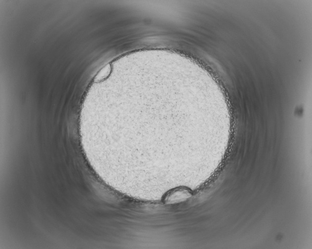X0000116881465201002021138