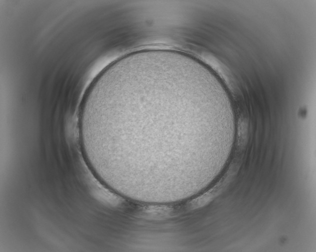X0000116881466201002021138