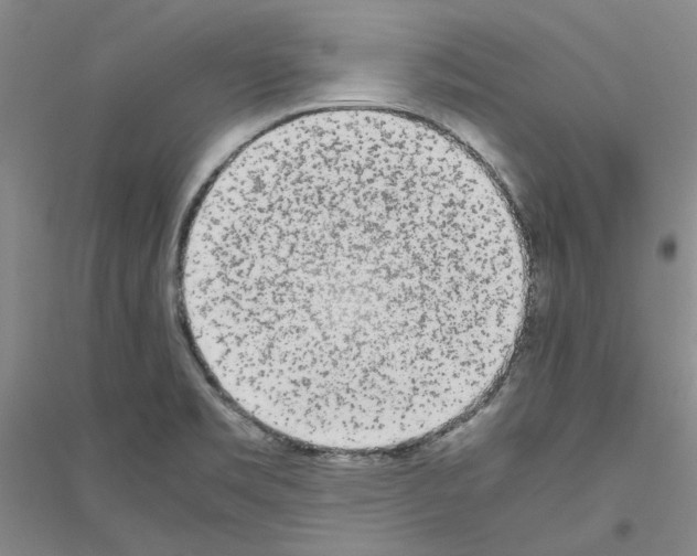 X0000116881469201002021138