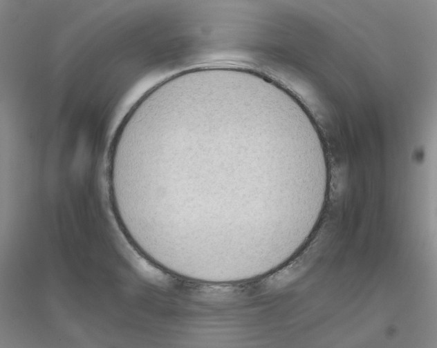 X0000116881470201002021138