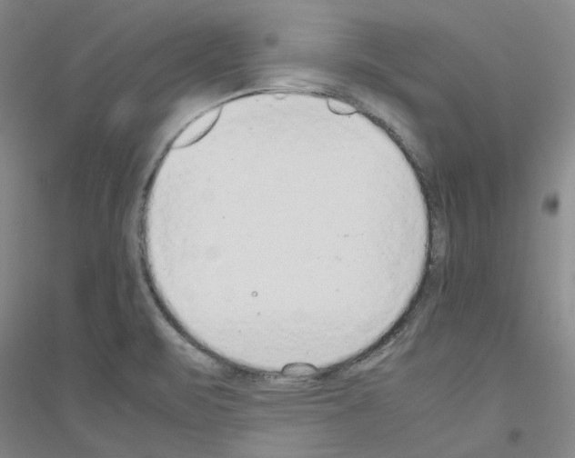 X0000116881471201002021138
