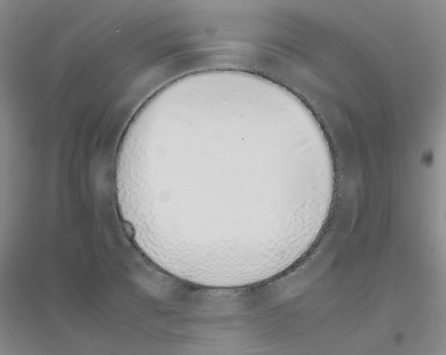 X0000116881473201002021138