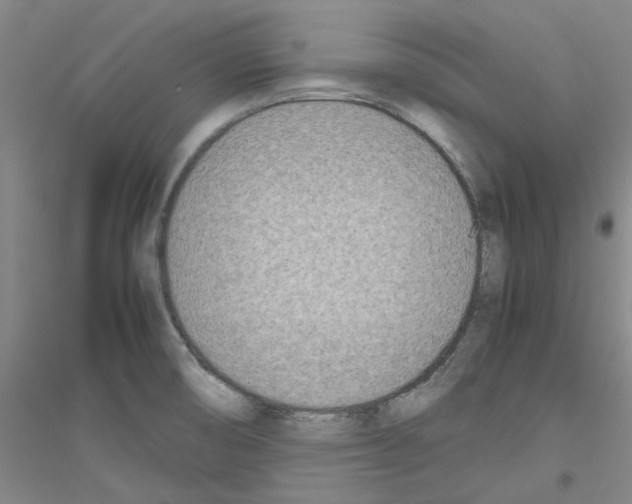X0000116881474201002021138