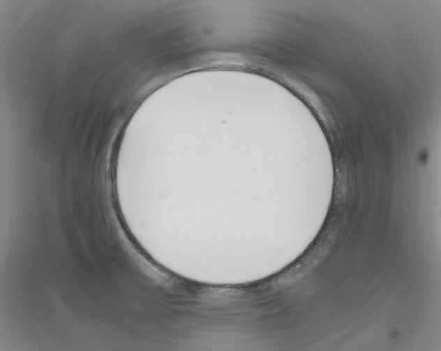 X0000116881475201002021138