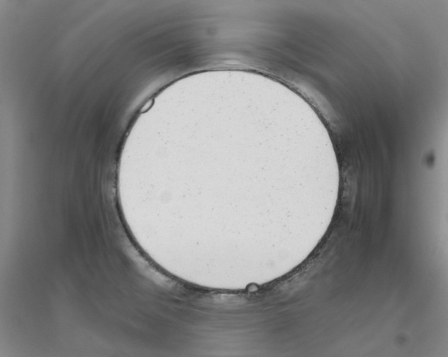X0000116881476201002021138