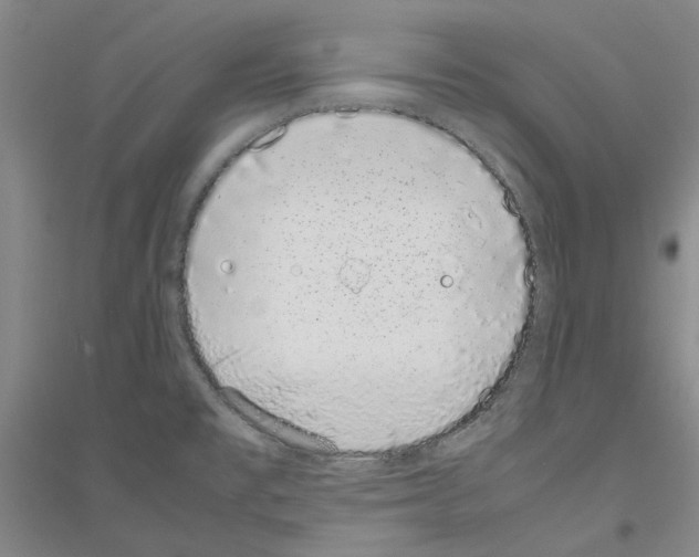 X0000116881477201002021138
