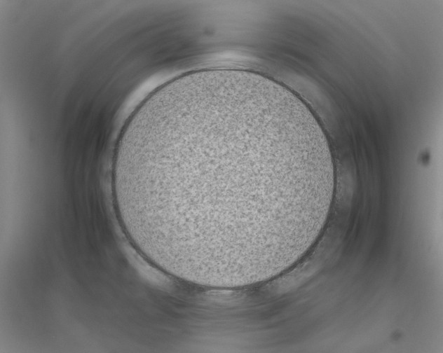 X0000116881478201002021138