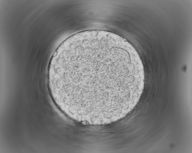 X0000116881479201002021138