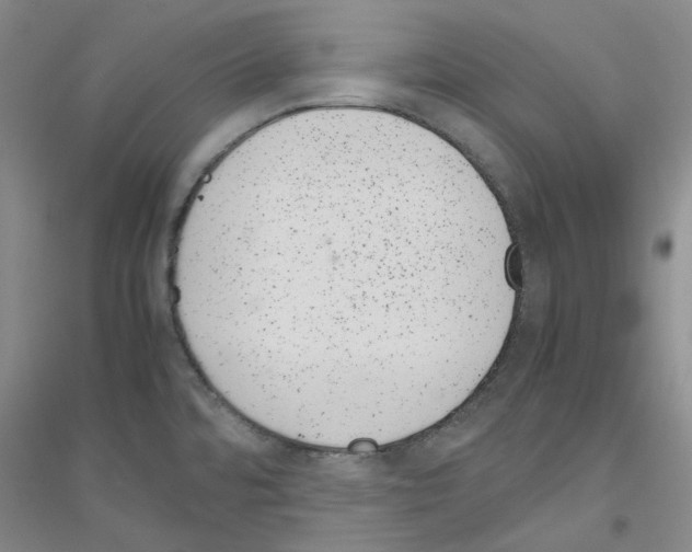 X0000116881480201002021138