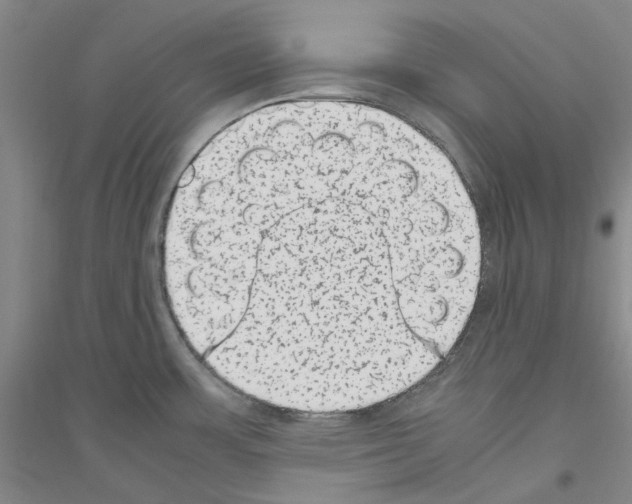 X0000116881483201002021138