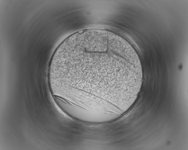 X0000116881484201002021138