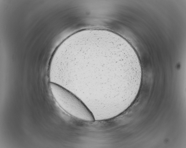 X0000116881485201002021138