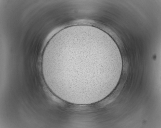 X0000116881486201002021138