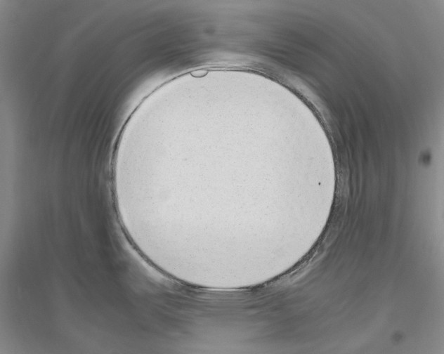 X0000116881487201002021138