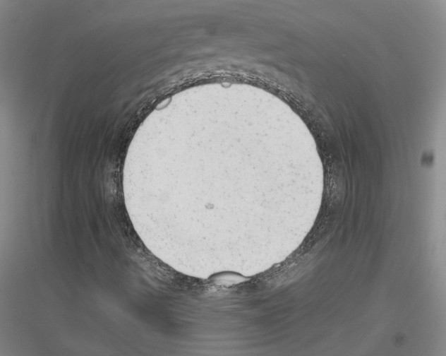 X0000116881490201002021137