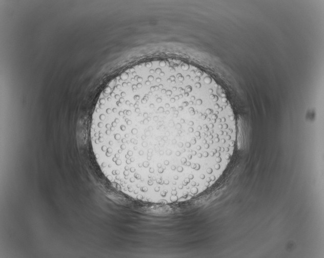 X0000116881491201002021137