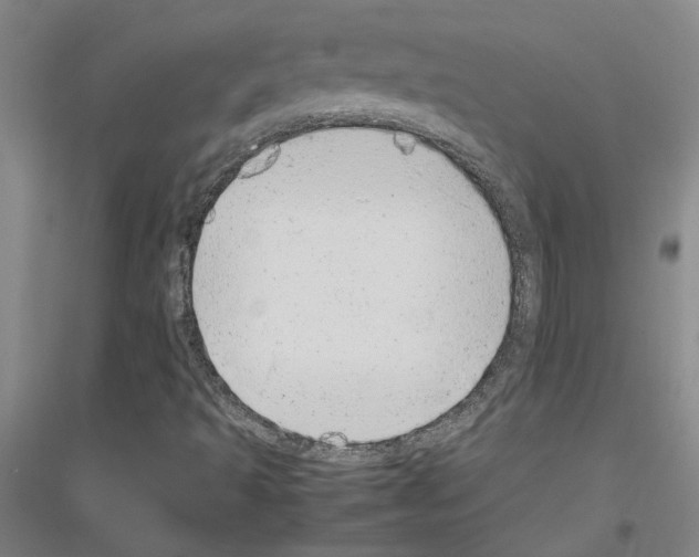 X0000116881493201002021137