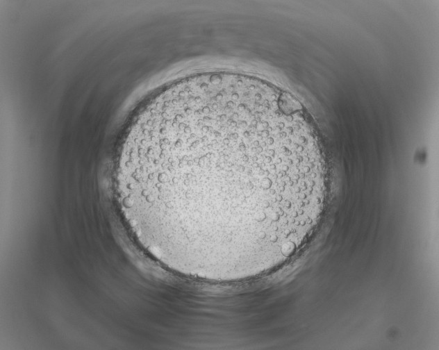 X0000116881499201002021137